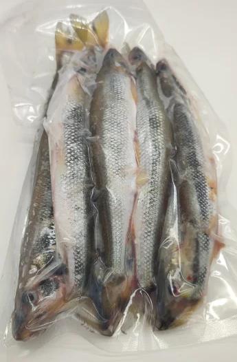 Фото Корюшка азиатская зубастая тихоокеанская свежемороженая (20-35см)