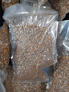 Превью Березовый гриб чага