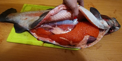 Превью Форель Мурманская свежемороженая непотрошеная