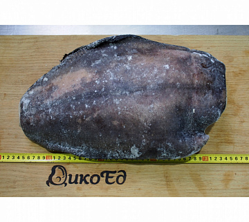 Фото Палтус тихоокеанский синекорый (5+ кг)потрошеный без головы