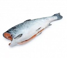 Кижуч замороженный потрошеный без головы 0,4-1,3кг
