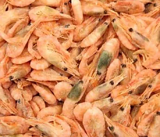 Креветка северная в/м 200+(коробка 5кг)