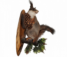 Белка на медальоне с шишкой